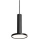 Luna Pendant Ceiling Light in Black