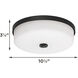 Boswell 1 Light 10.25 inch Black Flush Mount Ceiling Light