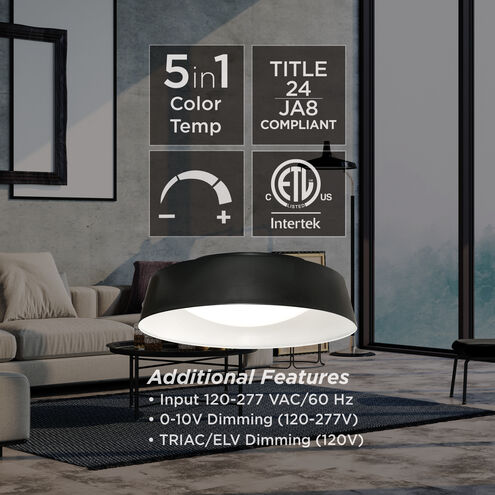 Duncan 1 Light 16 inch Black and White Flush Mount Ceiling Light