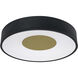 Hazel 1 Light 18 inch Black Flush Mount Ceiling Light
