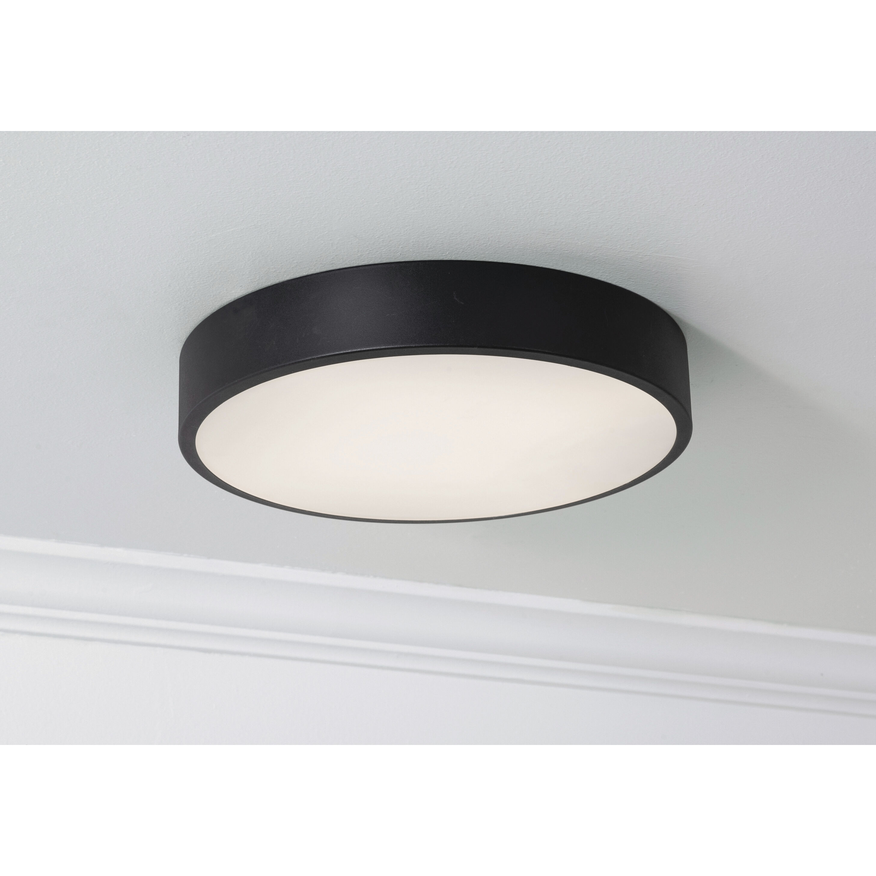 Bailey LED 14 inch Black Flush Mount Ceiling Light