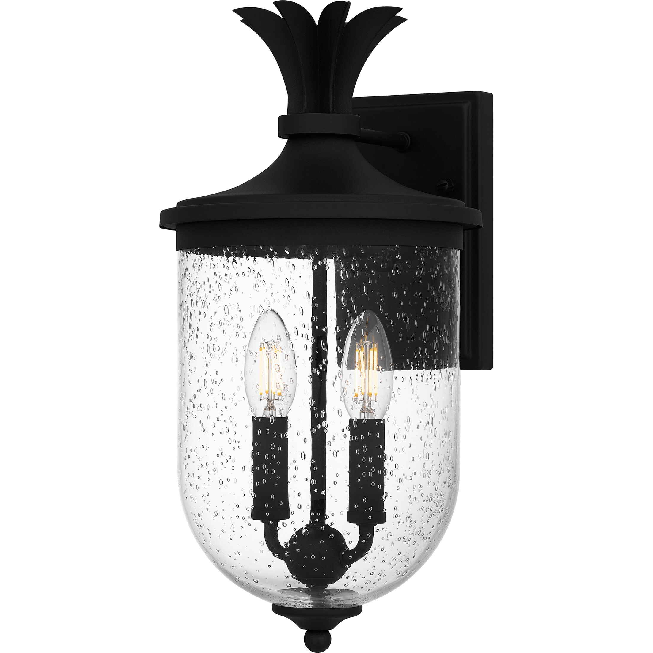 Havana 2 Light 8 inch Earth Black Outdoor Lantern, Medium