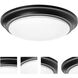 Baron 1 Light 12 inch Black Flush Mount Ceiling Light