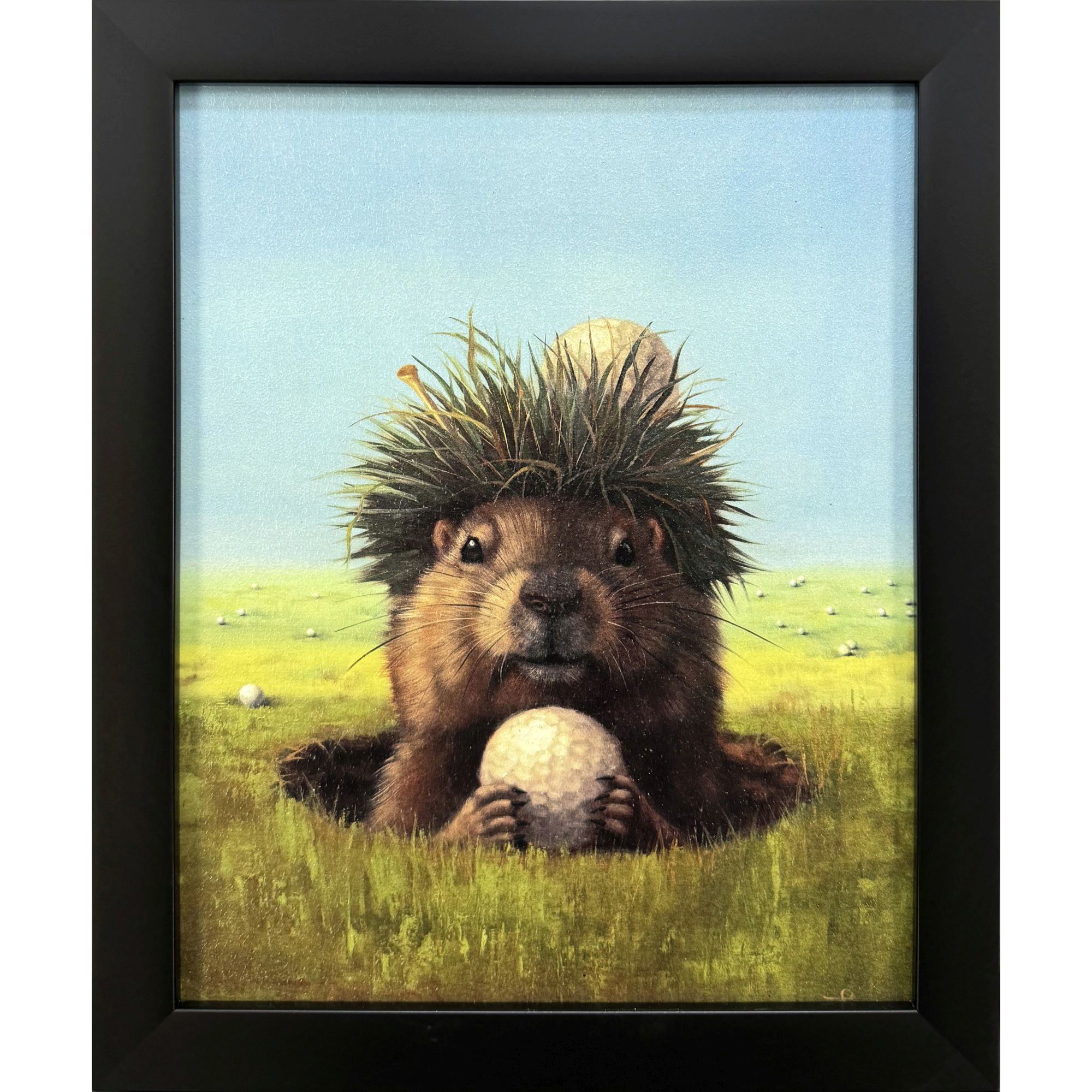 Ball Hog No. 2 11 X 9 inch Non-Glass Framed Art, Propac