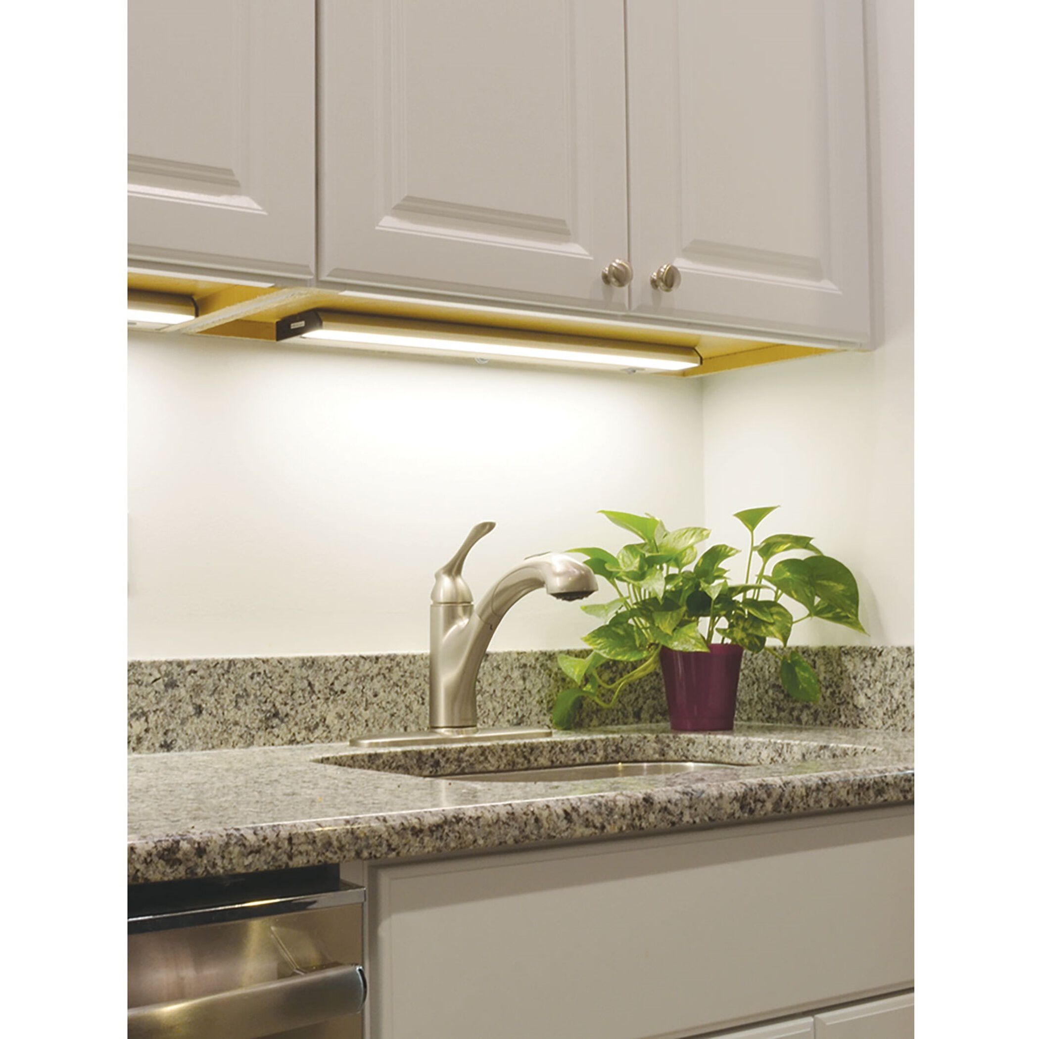 AFX NLLP2 09BA Noble Pro 120V LED 9 inch Brushed Aluminum