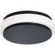 Eris LED 10 inch Black Flush Mount Ceiling Light