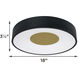 Hazel 1 Light 18 inch Black Flush Mount Ceiling Light