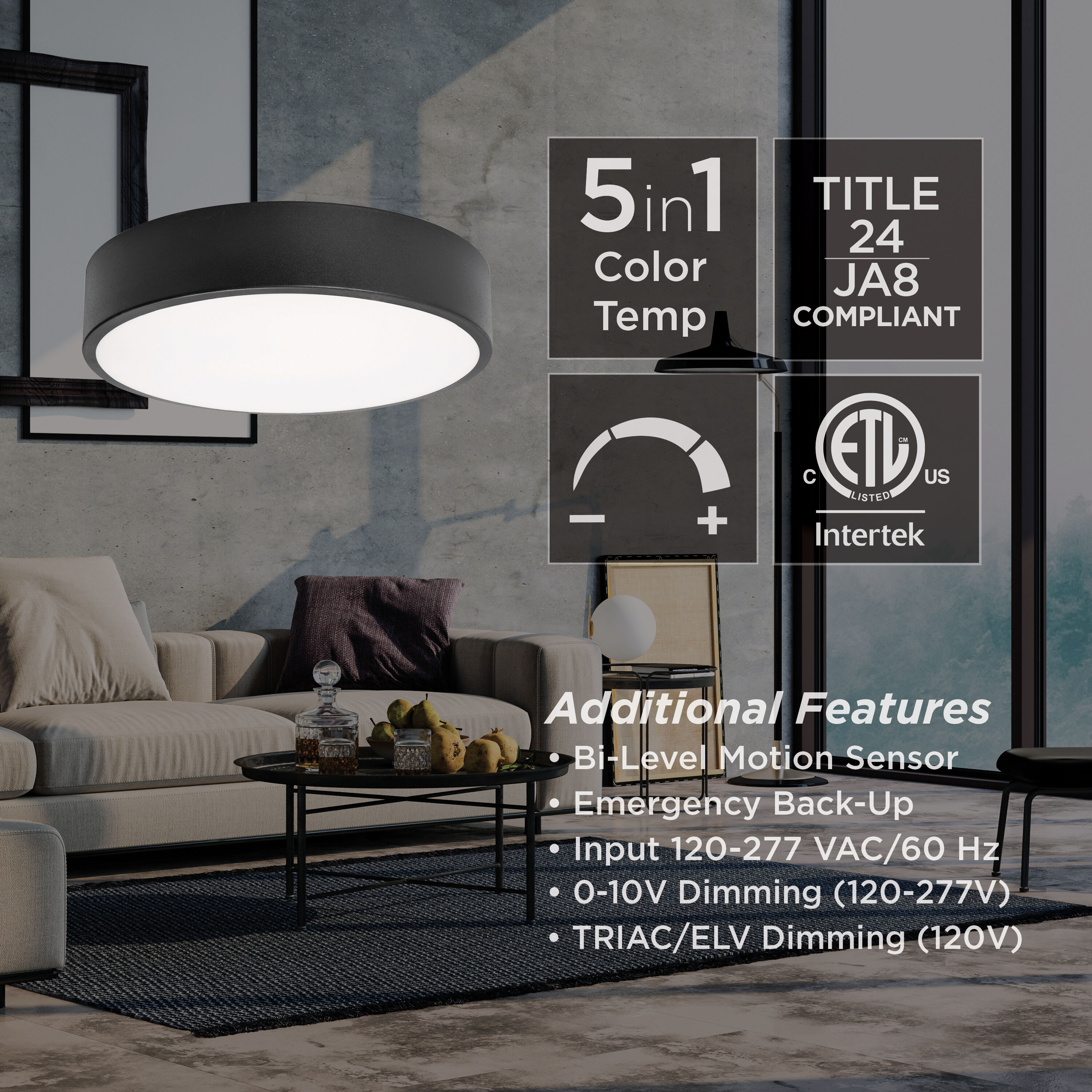 Bailey LED 14 inch Black Flush Mount Ceiling Light