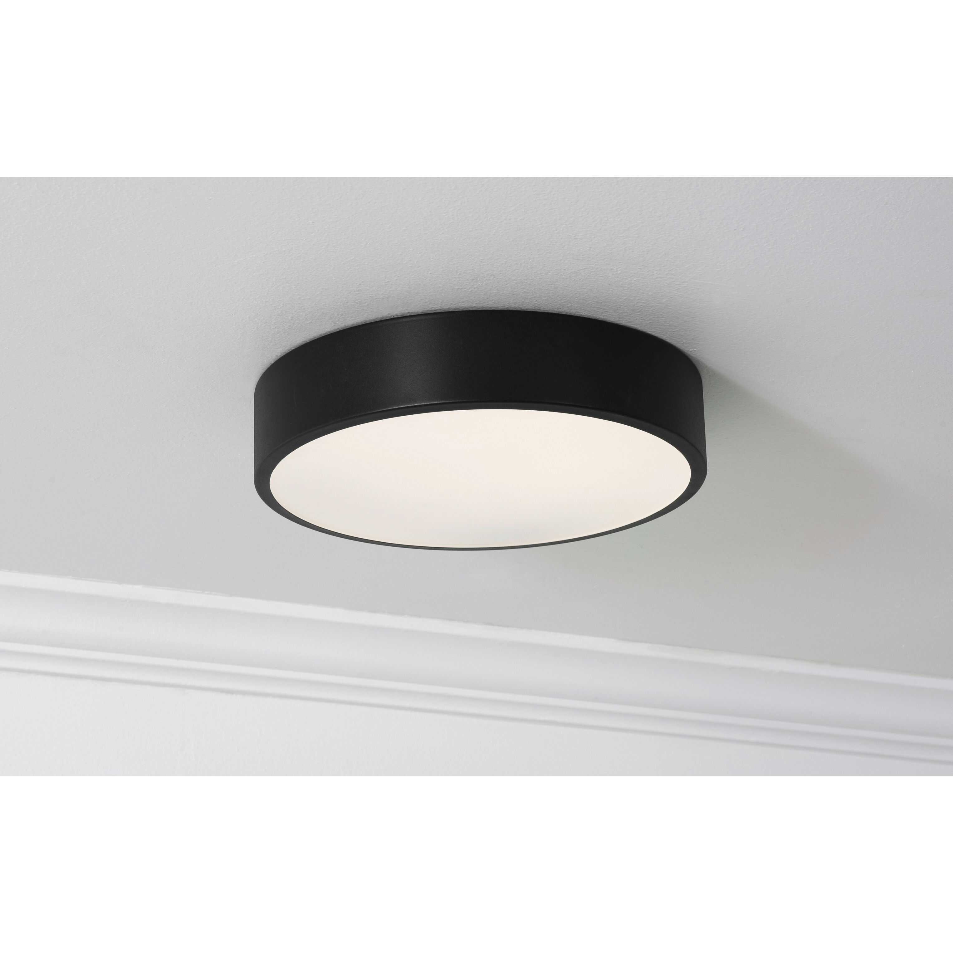 Bailey LED 12 inch Black Flush Mount Ceiling Light