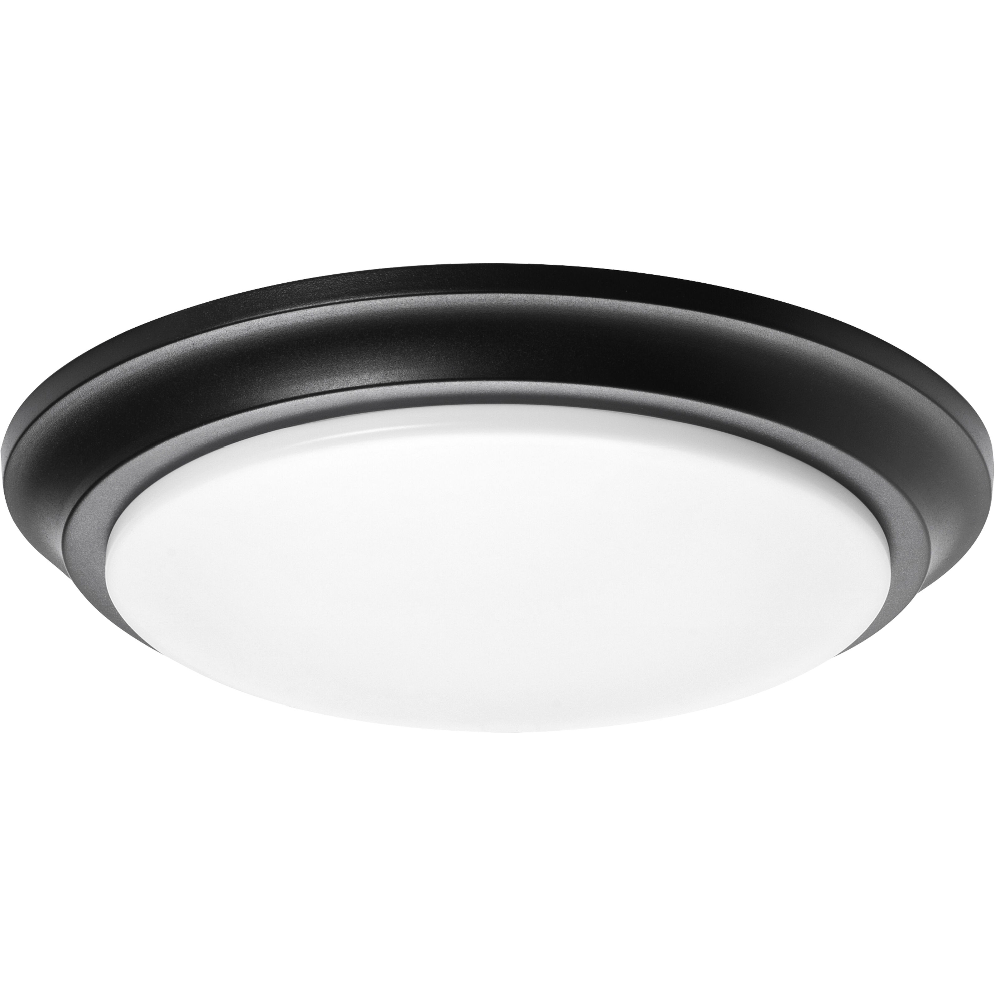 Baron 1 Light 14 inch Black Flush Mount Ceiling Light