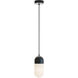 Irvine LED 4.75 inch Black Pendant Ceiling Light