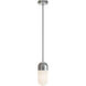 Irvine 1 Light 4.75 inch Pendant