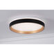 Rana LED 15.5 inch Black Flush Mount Ceiling Light