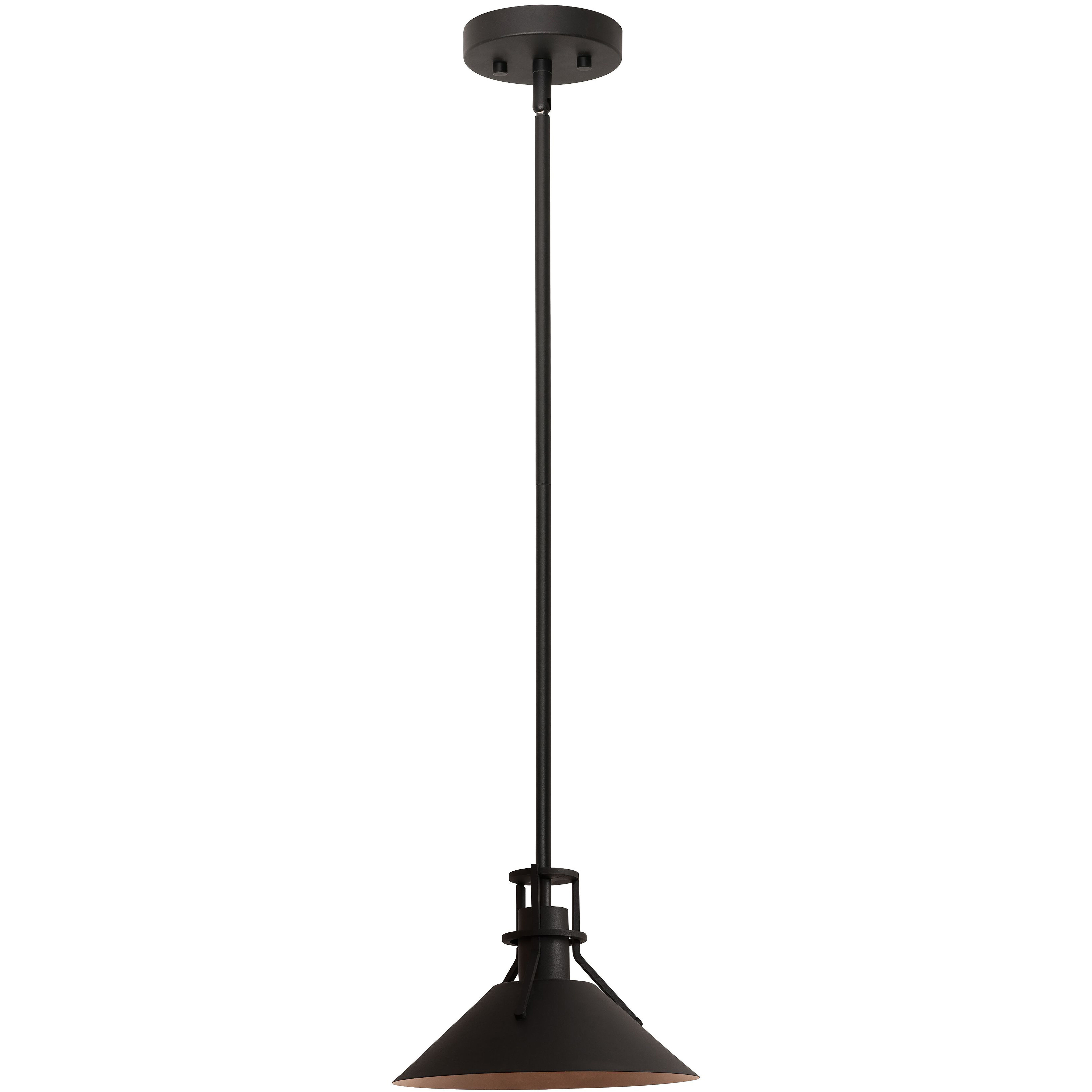 Gus 1 Light 10 inch Black Outdoor Pendant