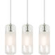 Hermosa 3 Light 41 inch Satin Nickel Linear Pendant Ceiling Light in Clear
