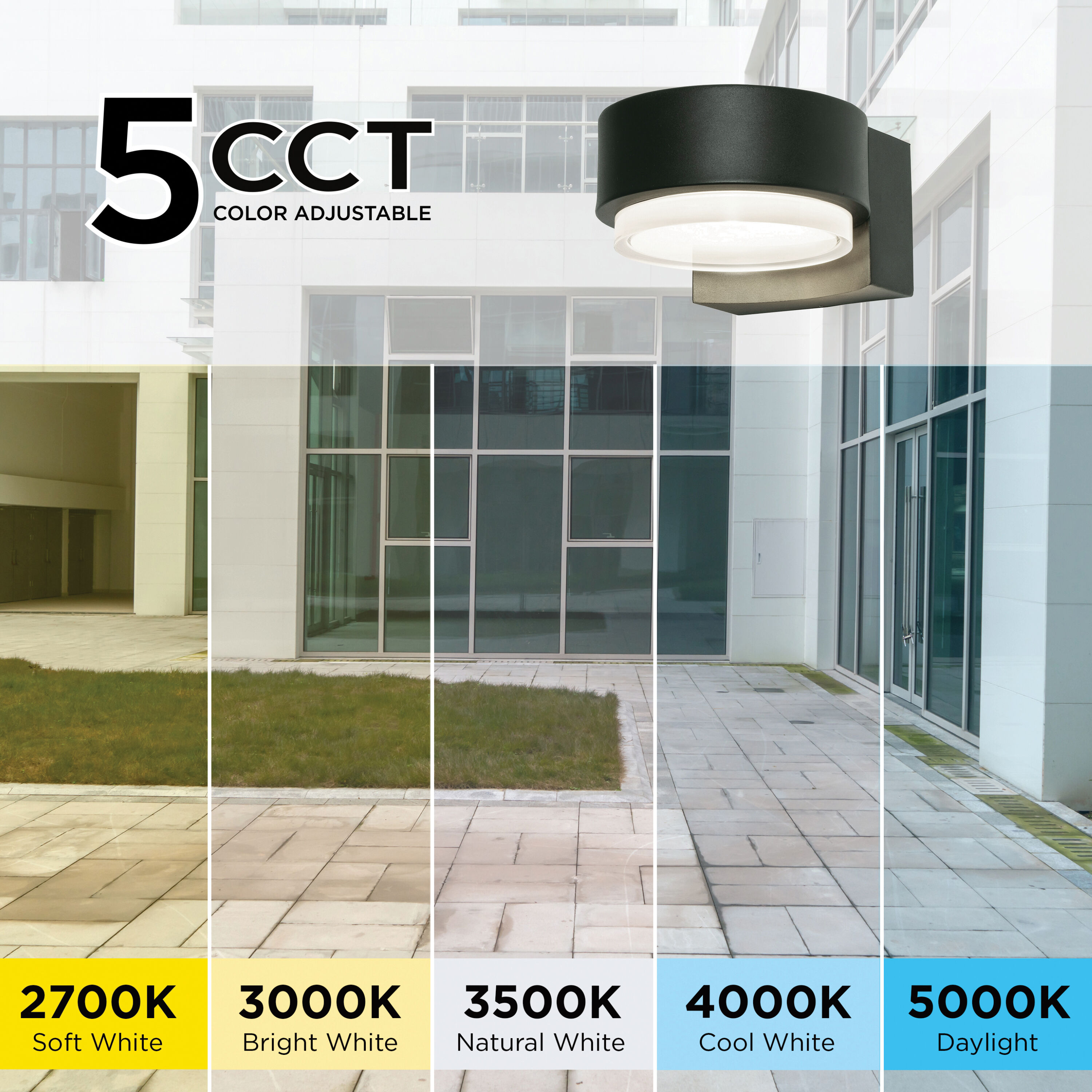 Elm LED 4.25 inch Black Outdoor Sconce