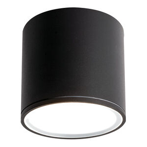 Everly LED 4 inch Black Outdoor Ceiling Light