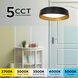 Duncan 1 Light 20 inch Black and Gold Flush Mount Ceiling Light