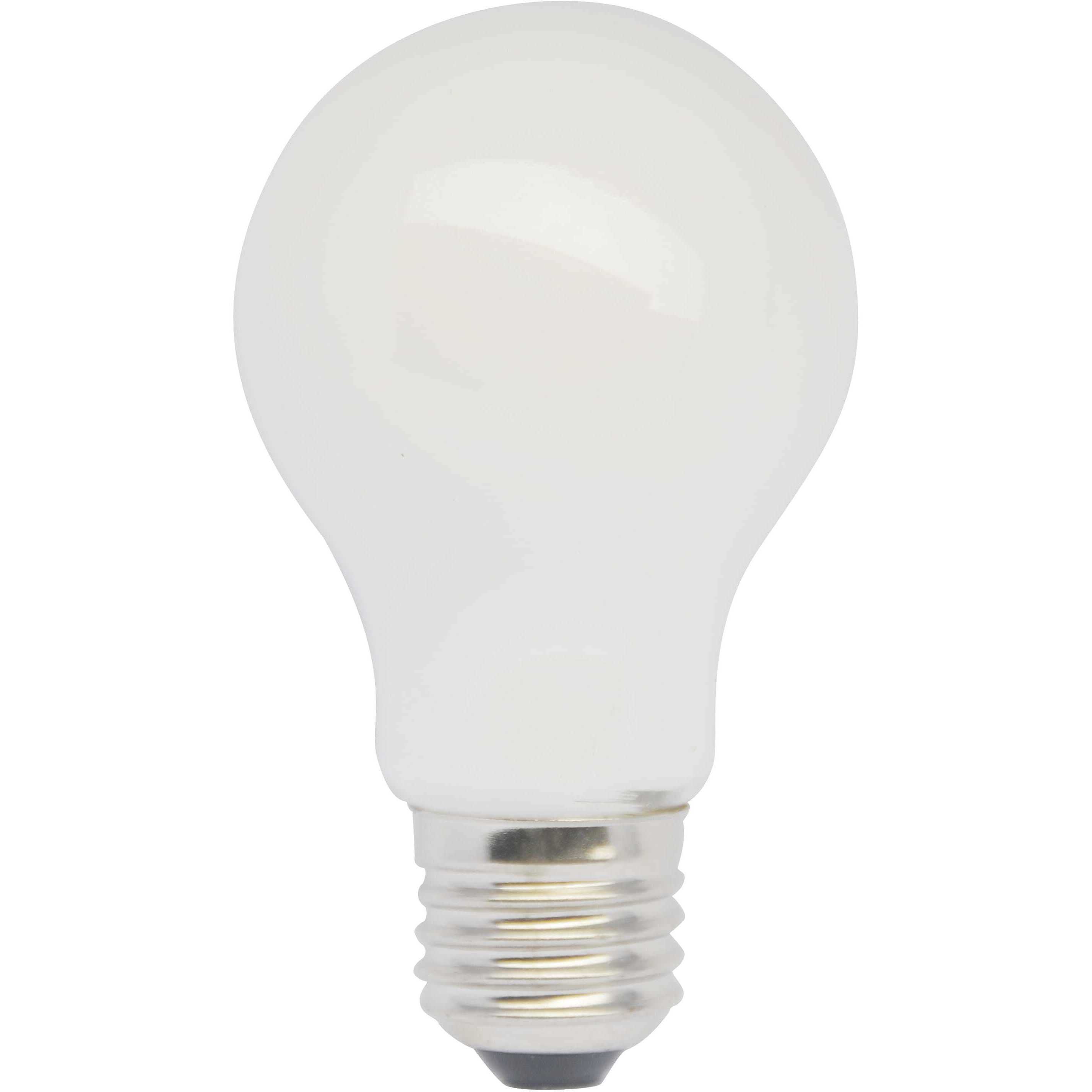 Anthony A19 E26 10 watt 120 3000K LED Light Bulb, Pack of 6