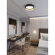 Reveal LED 16 inch Black and Gold Flush Mount Ceiling Light 