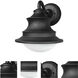 Butler LED 10.5 inch Black Outdoor Wall Sconce