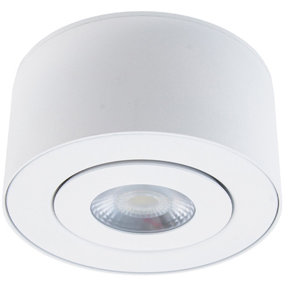 Peek 1 Light 4.88 inch Flush Mount