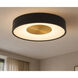 Hazel 1 Light 18 inch Black Flush Mount Ceiling Light