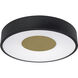 Hazel 1 Light 14 inch Black Flush Mount Ceiling Light