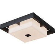 Outdoor Ceiling Lights