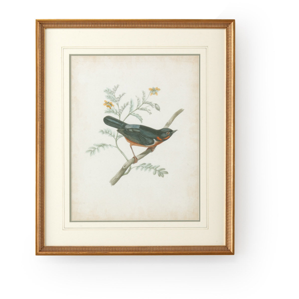 Chelsea House 26 X 22 inch Print