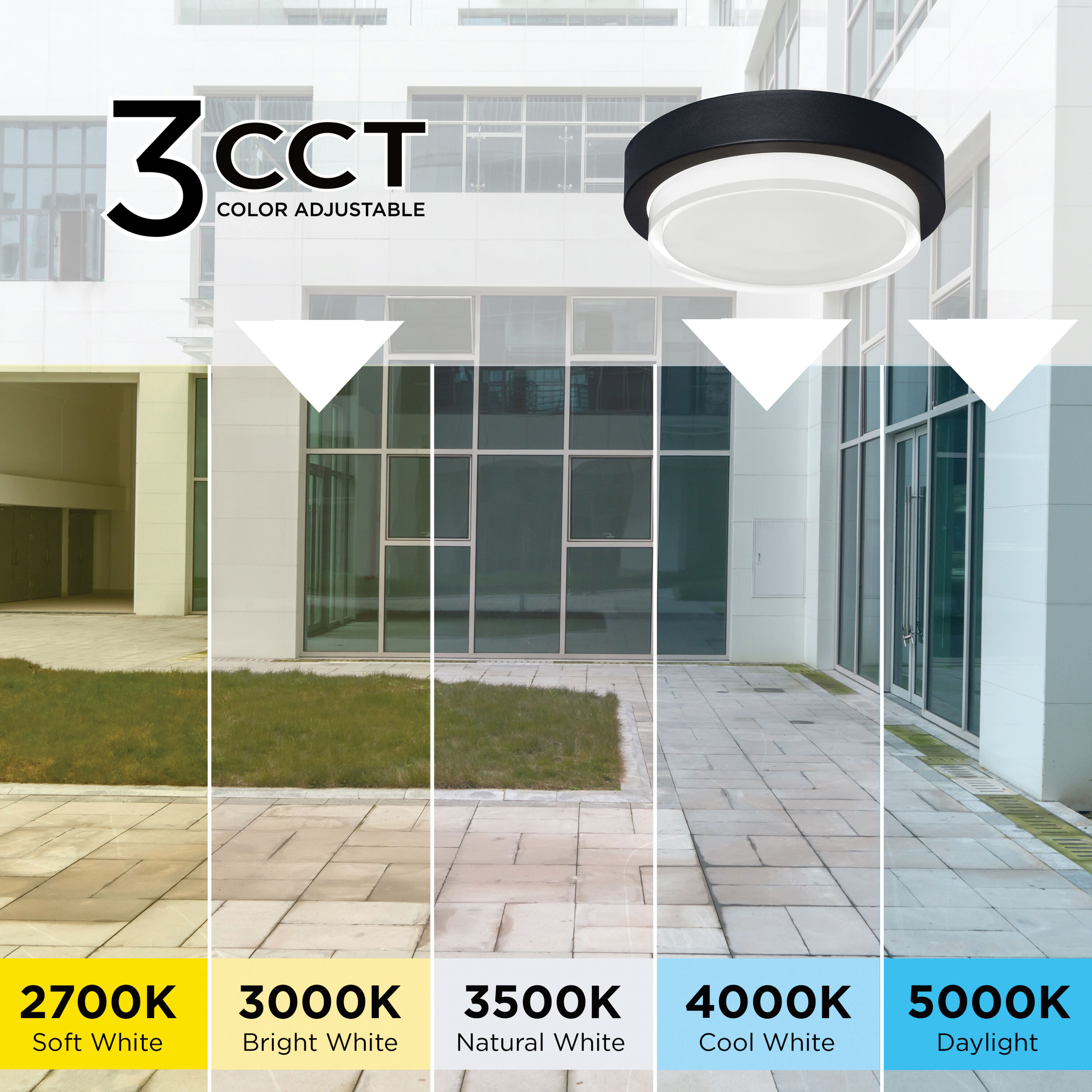 Elm LED 11 inch Black Outdoor Flush Mount