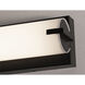 Axel LED 48 inch Black Vanity Light Wall Light