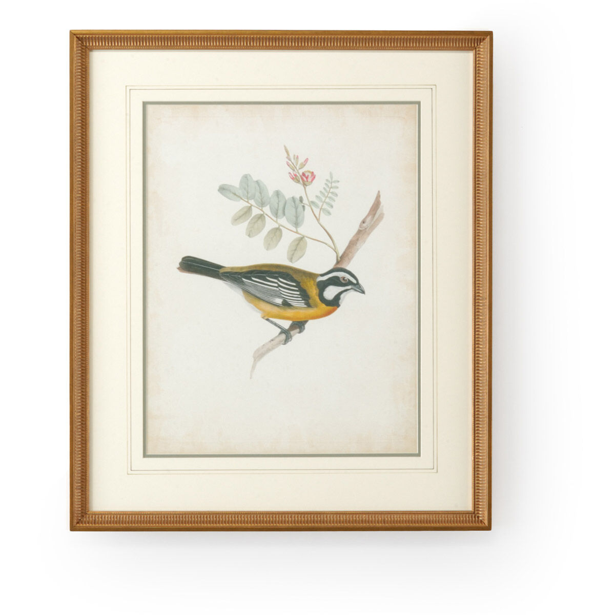 Chelsea House 26 X 22 inch Print