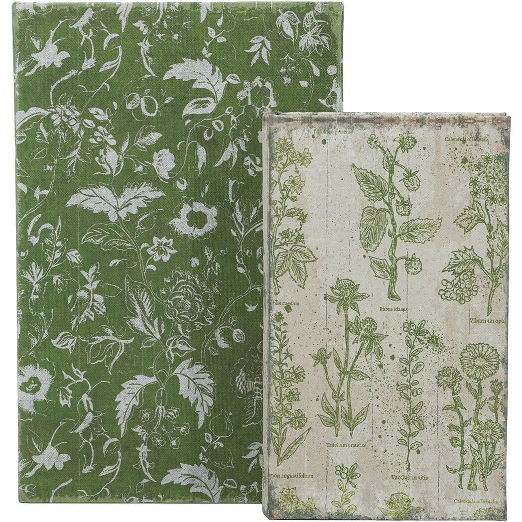 Anita Multicolor Book Boxes, Set of 2