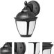 Dawson LED 9.25 inch Black Outdoor Wall Lantern