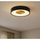 Hazel 1 Light 14 inch Black Flush Mount Ceiling Light