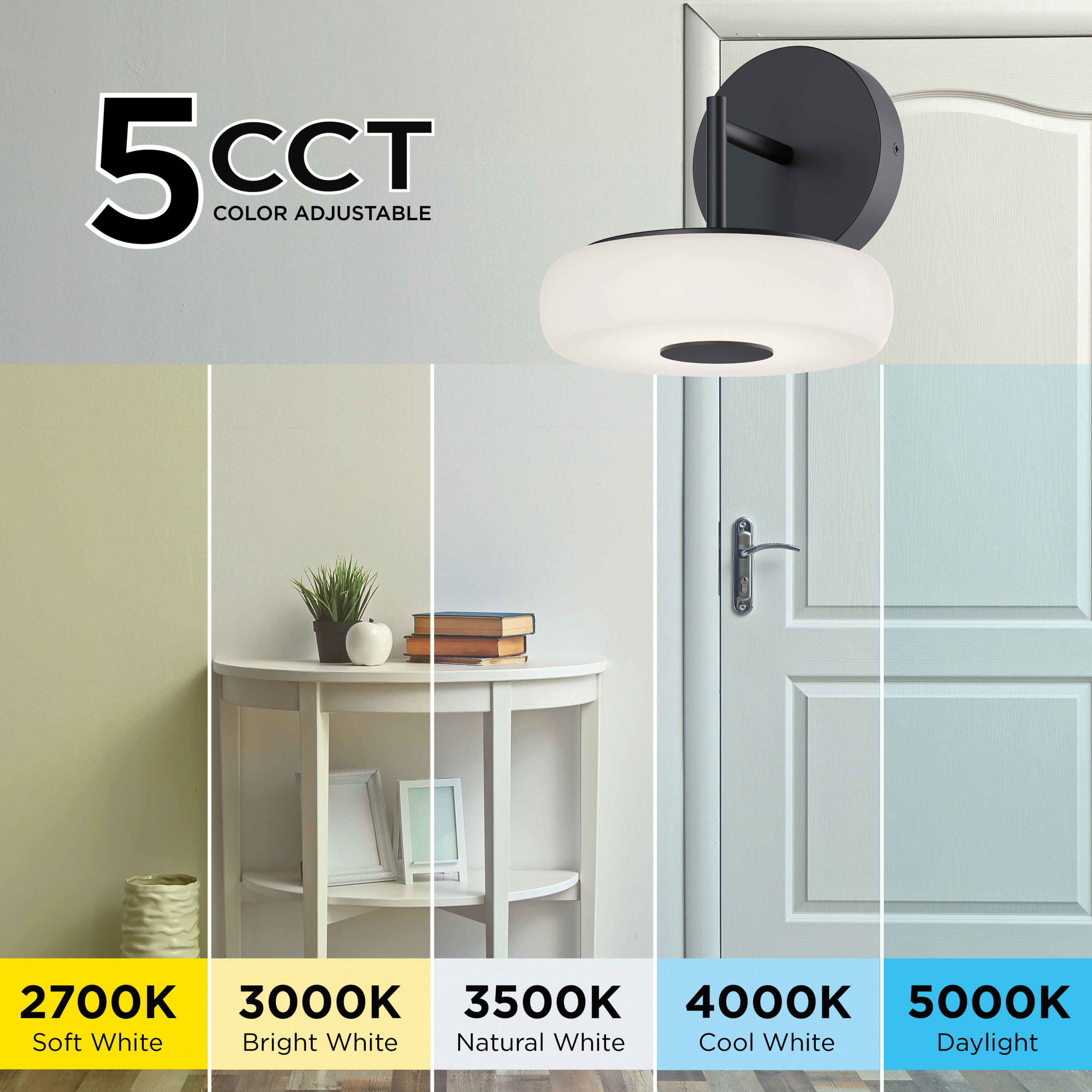 June LED 8 inch Black Wall Sconce Wall Light