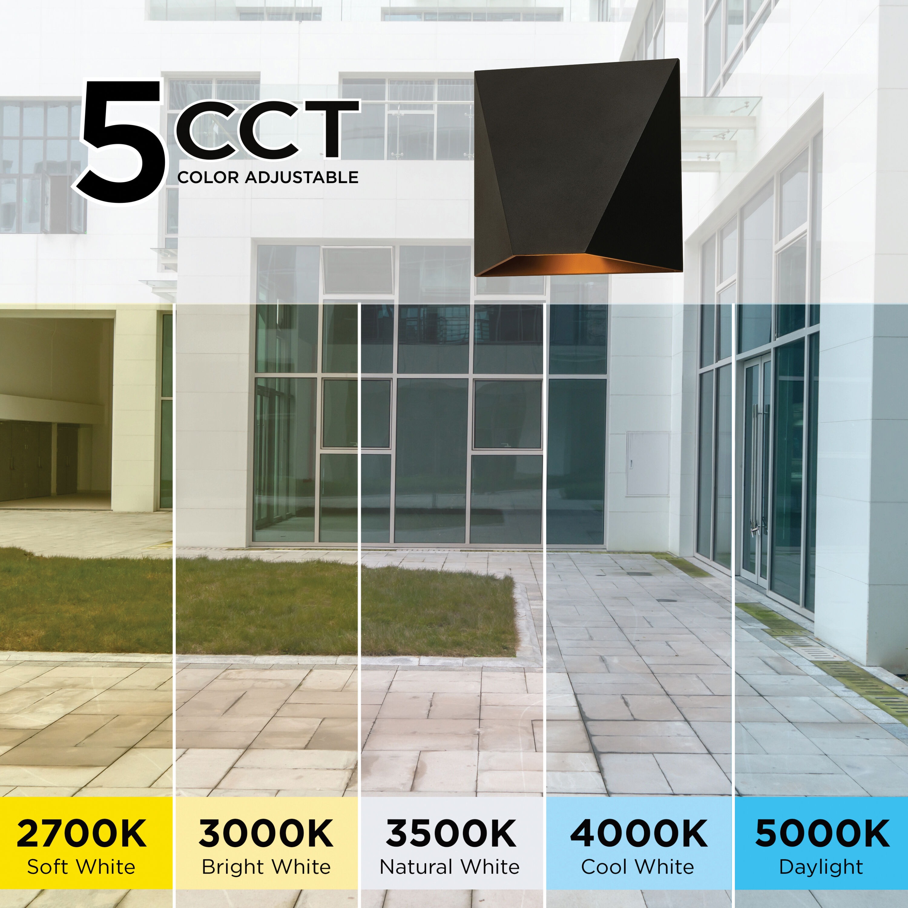 Kylo 1 Light 5 inch Black Outdoor Wall Sconce