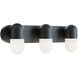 Irvine LED 24 inch Black Vanity Light Wall Light