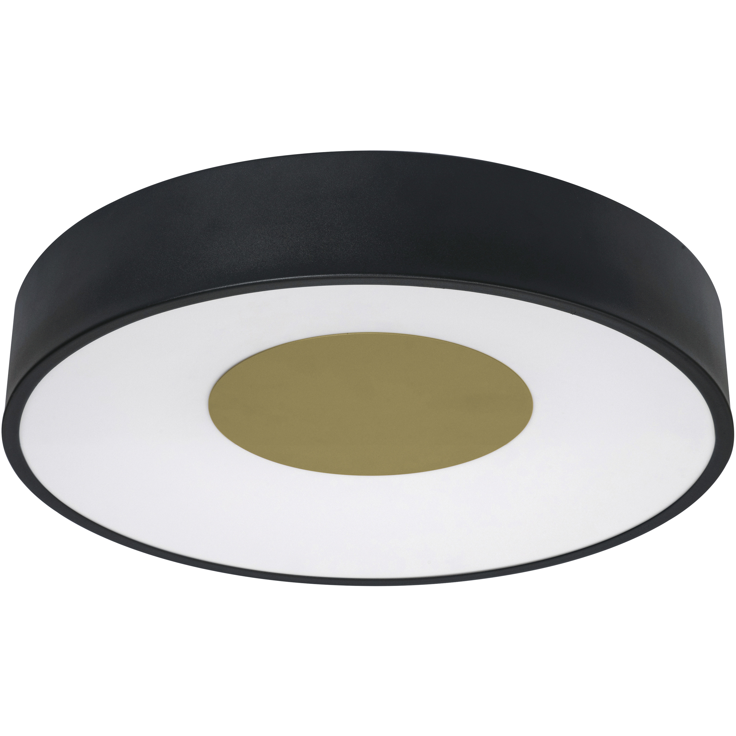 Hazel 1 Light 18 inch Black Flush Mount Ceiling Light