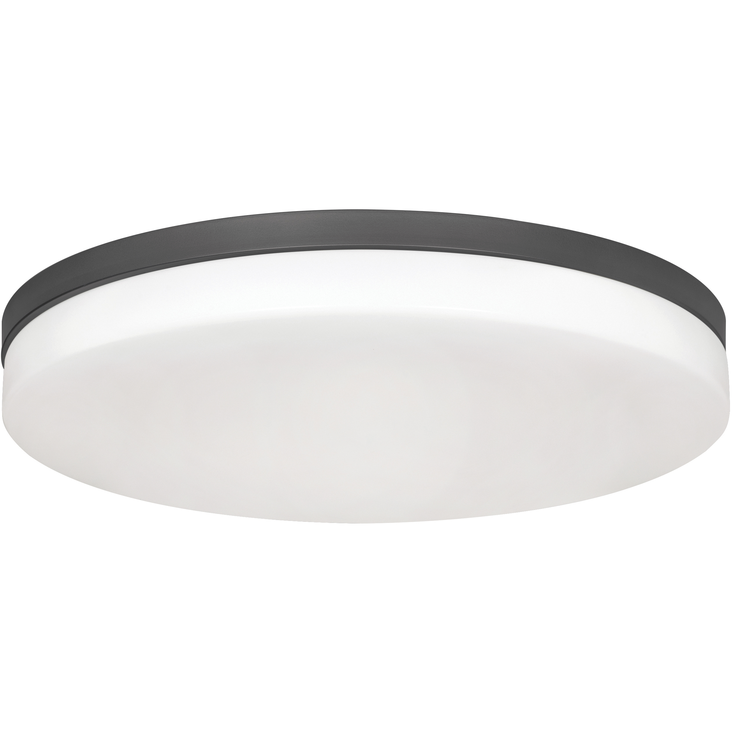 Oscar LED 19 inch Black Flush Mount Ceiling Light